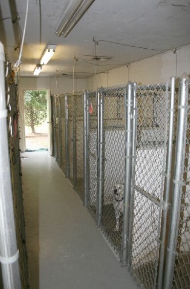 Indoor runs separated with cinder block 4 ft up and 2 ft of chain-link fence.