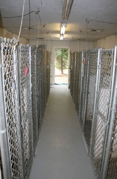 Pride Kennels indoor runs.